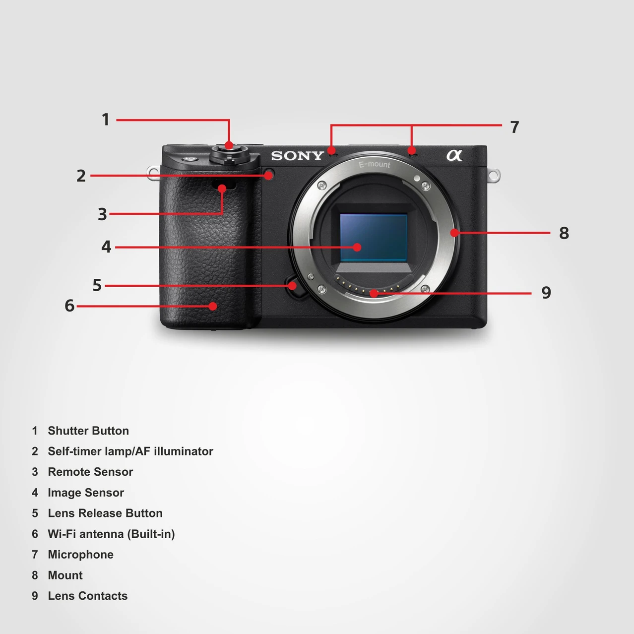 Sony Alpha 6400 Mirrorless Camera Body